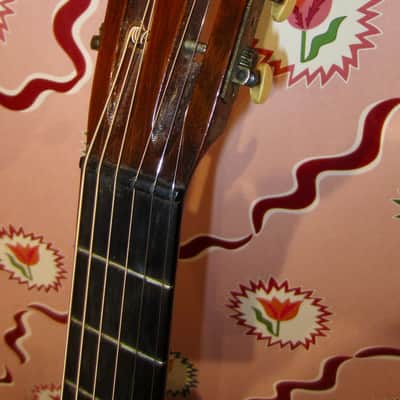 Washburn New Model 1897 Parlor Guitar 1800s - Natural image 3