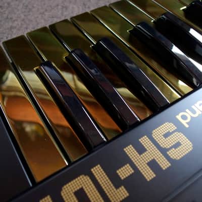 Roland SH-101  black & gold custom by ghostinmpc image 12