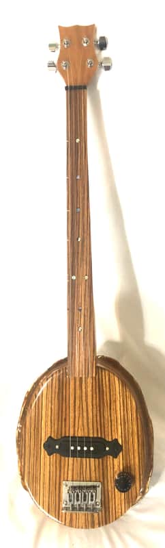 4 string Turtle shell slide guitar image 1