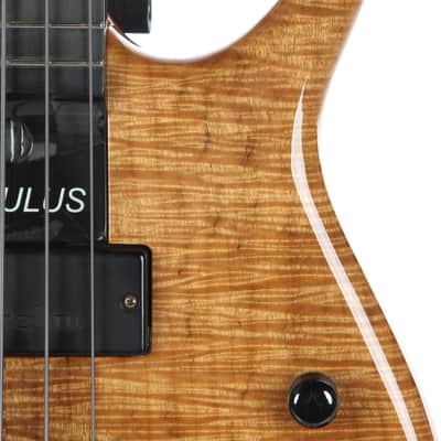 2007 Modulus Quantum Q5 5 String Bass -KOA TOP- image 7