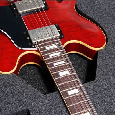 Thon Guitar Case For Semi Hollow Body image 15
