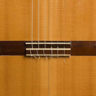 Kolya Panhuyzen Classical Guitar (1999), black hard shell case. image 17