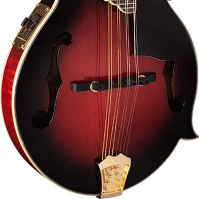 Washburn Americana M3SWE Trans Wine Red w/Case image 1