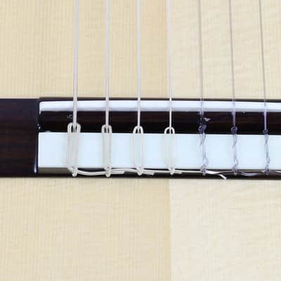 NEW Cathedral Model 107CEL SP 7-String Classical Harp Guitar w/Spruce Top, Pickup, Cutaway, Sound Port, w/SoftCase image 16