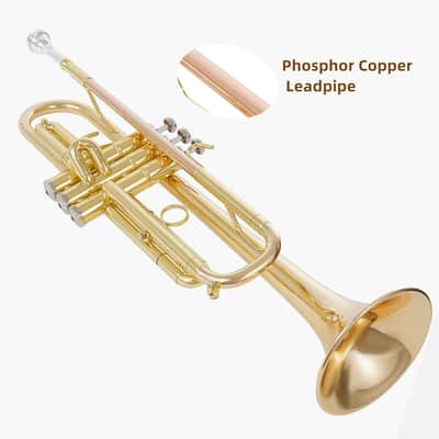 Bb Trumpet (Golden) – Beginner/Student Brass Instrument with Phosphor Copper Leadpipe, ABS Sturdy Case, Cleaning Kit & 7C Mouthpiece image 2
