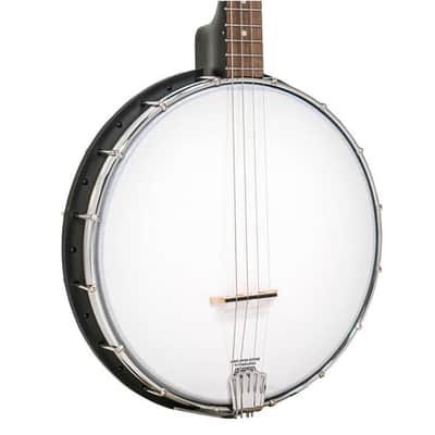 Gold Tone AC-4: Acoustic Composite 4-String Openback Tenor Banjo w/ Gig Bag, Right-Handed, New, Authorized Dealer image 2