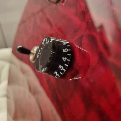PRS 25th Anniversary SE Custom 24 image 10