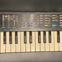 Casio SK-1 32-Key Sampling Keyboard 1986 - Black