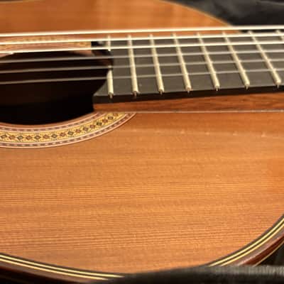Hippner Rodriguez cedar/braz image 6