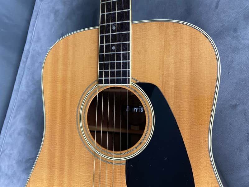 Morris MV-701 Vanguard Series Fantastic Acoustic MIJ Early 1980's