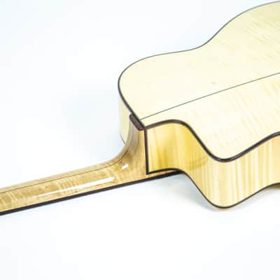 Dell'Arte Pigalle Mandocello Owned by Nancy Wilson of Heart image 12