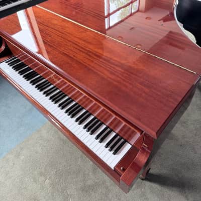 Immagine Boston GP163 2023 - Polished Mahogany - 6