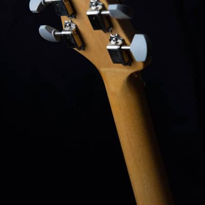 PRS Silver Sky Limited Edition 2020 - Nebula image 14