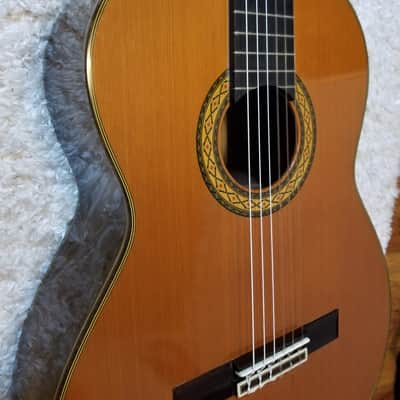 Takamine No.5 image 4
