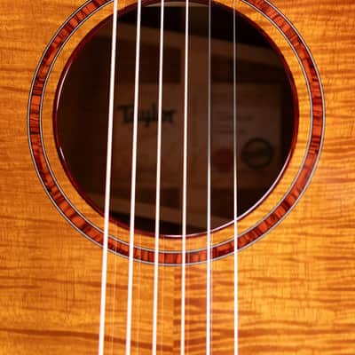 Taylor Custom #12343 Grand Auditorium Acoustic/Electric Guitar - Master Grade Koa with Hardshell Case image 12