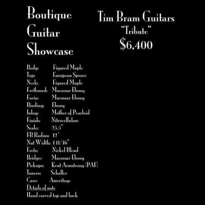 Tim Bram Guitars Tribute image 6
