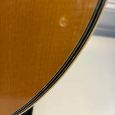 Trinity College TM-325 Octave Mandolin image 6