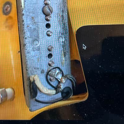 1956 Gibson Les Paul Special in stunning TV Yellow! image 10