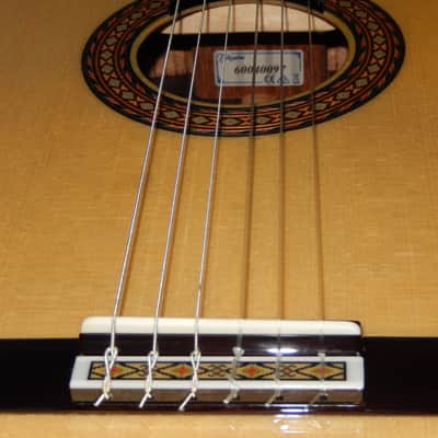 TAKAMINE No200FH 2022 - SWEET & POWERFUL CLASSICAL GUITAR -  ALL SOLID WOODS image 7