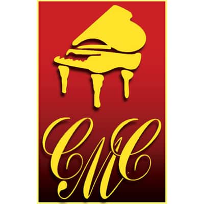 Petrof P 194 Storm Black high polish Grand Pianos image 3