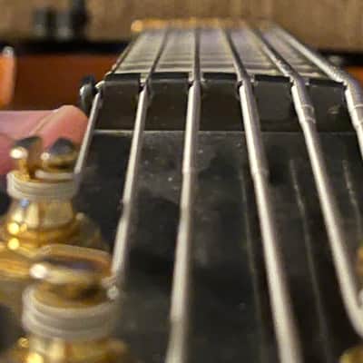 Modulus Quantum Coco Bolo 6 String Bass image 8