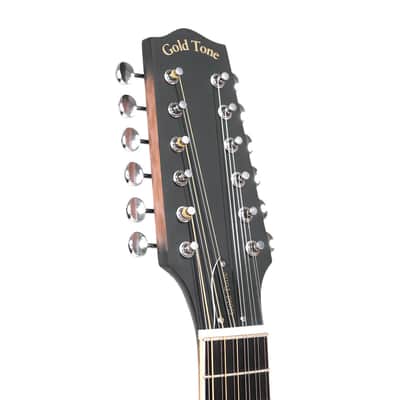 Gold Tone F-12: 12-string F-style Mando-Guitar with Pickup and Case image 7