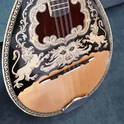 Greek bouzouki & Hardcase & pickup & tuner & 300 backing track with pdf scores 8 string image 3