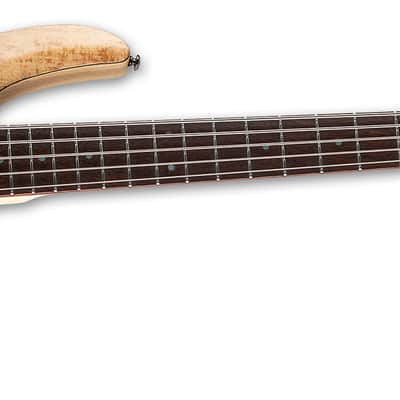 ESP LTD B-205SM Spalted Maple Natural Satin NS B-Stock 5-String Electric Bass B205SM image 3