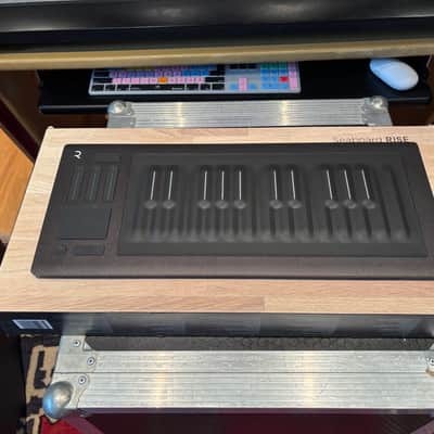 ROLI Seaboard RISE 25 2010s - Black image 2