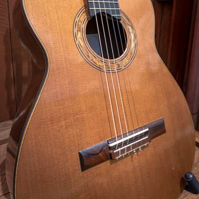 2016 Kris Barnett, Cedar Ziricote, Hybrid Fan Lattice Braced, Elevated Fingerboard , Soundport image 2