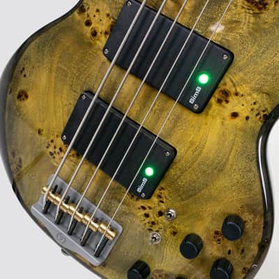 Form Factor Audio Wombat 5 5-String Bass image 3