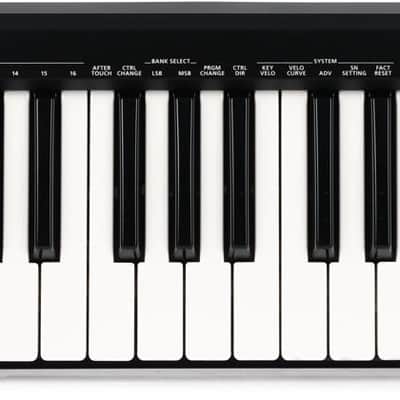 Roland A-49 49-key Keyboard Controller - Black image 1