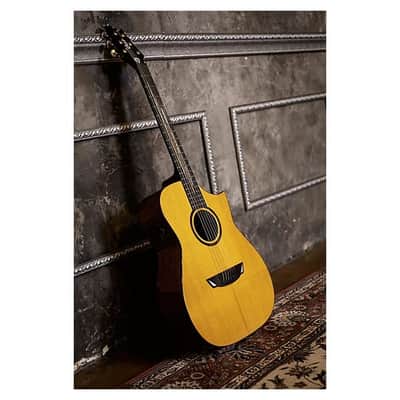 Cort Frank Gambale Signature LUXE II Acoustic-Electric w/Case, Video Demo, Fishman Flex Blend System image 22