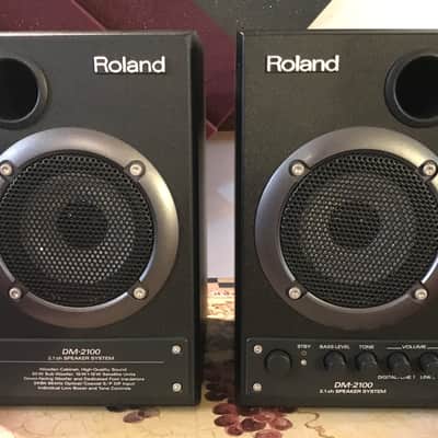 Roland DM-2100 2.1 Channel Speaker System image 1