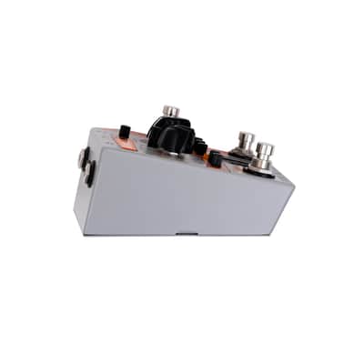 Rainger FX Drone Rainger - Digital Delay image 5