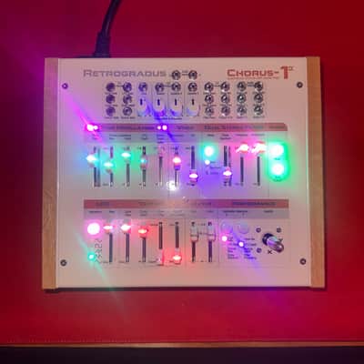 Rare Retrogradus Chorus 1a - Custom One of a Kind image 6