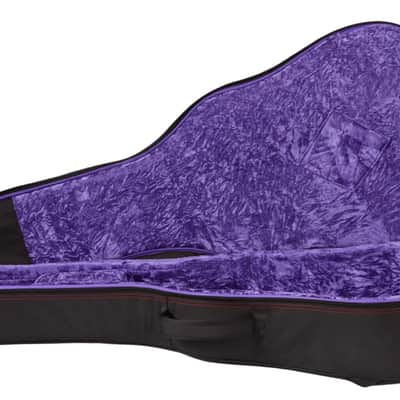 Gibson Epiphone Guitar Case image 2