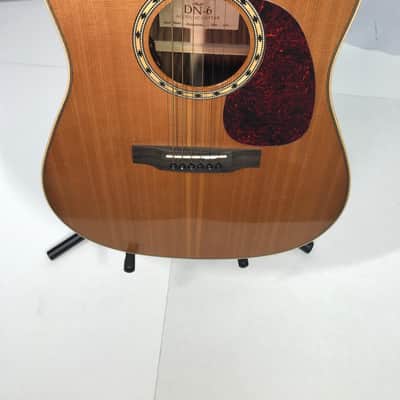 Antonio Giuliani DR16 Acoustic Guitar, 2021 (With LR Bagg Pickup) (Used) image 3