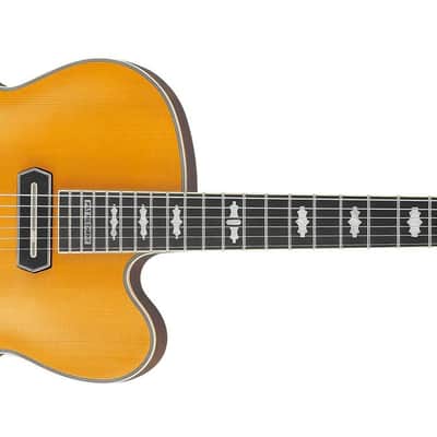 Ibanez - PM3CNAL - EL.GUITAR W/CASE image 1