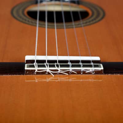 Juan Hernandez Sonata Classical Guitar Handmade in Spain 2015, Solid Cedar, Solid Mango Back image 11