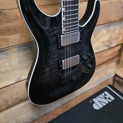 ESP E-II HORIZON NT-II (Pre-Owned) - See-Thru Black Sunburst w/ Hard Case image 4