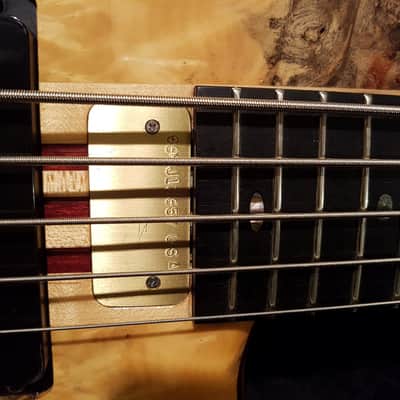 2006 Alembic MJLB 5 Signature Standard Bass Buckeye Burl 5 String image 14