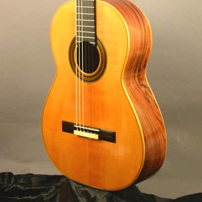 Lorenzo Frignani 2020 "Manuel Ramirez 1910" (w/video) image 5
