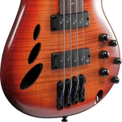 Ibanez SR Bass Workshop 4 String Electric Bass - Fretless - Brown Topaz Burst Low Gloss (SRD900FBTL) image 2