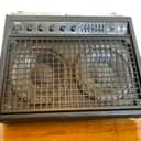 Mesa Buster 200 Tube 2x10 Bass Combo Amplifier