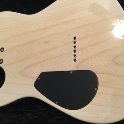 Asher T-Deluxe  2016 image 18