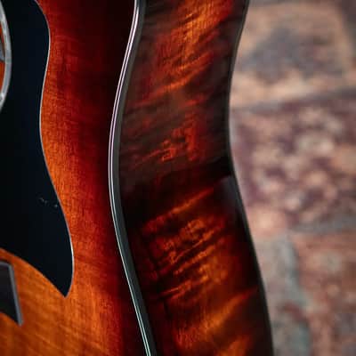 Taylor 260ce-K DLX Bajo Quinto Acoustic/Electric Guitar with Hardshell Case image 12