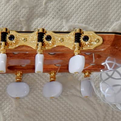 Esteve Alegria crossover cutaway / lattice braced / cedar top/48 mm nut width image 8