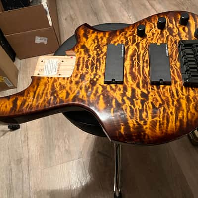 Warmoth Deluxe 5 Z loaded body image 1