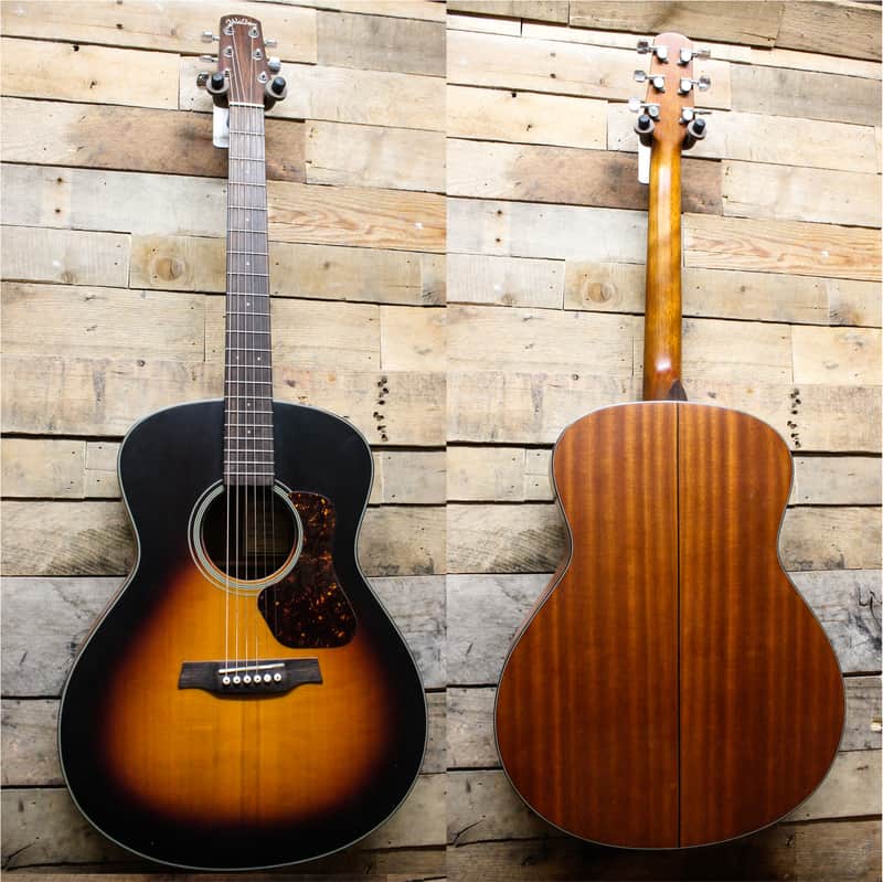 Walden Natura G570TB Acoustic Guitar w/ gig bag image 1
